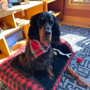 Meet your Posher, Laura